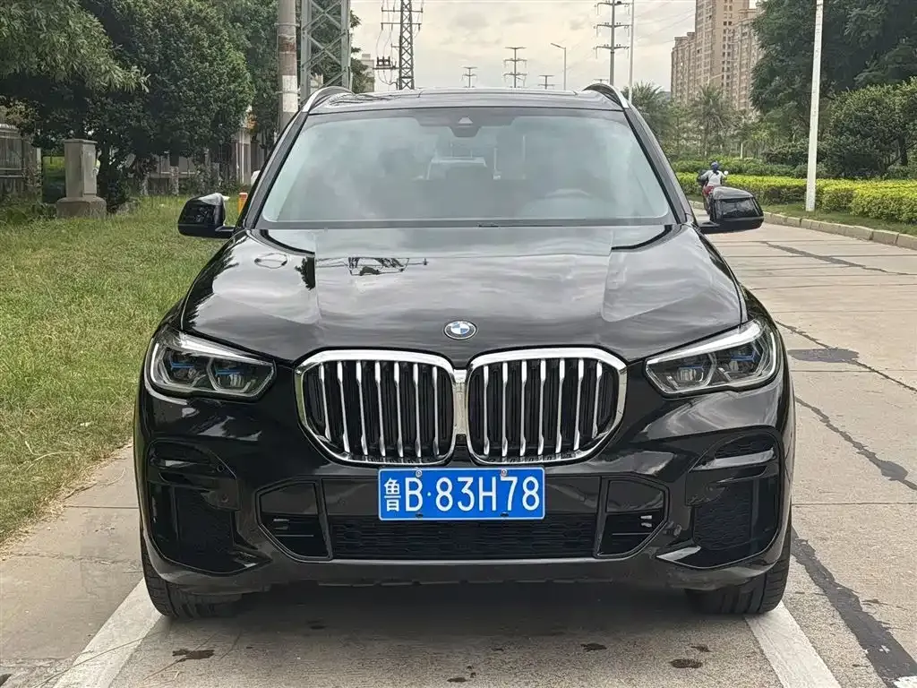 BMW X5 (Import) 2022 из CN, фото 2