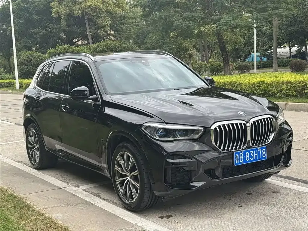 BMW X5 (Import) 2022 из CN, фото 3