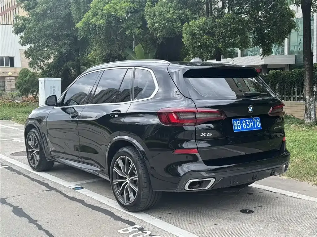 BMW X5 (Import) 2022 из CN, фото 7