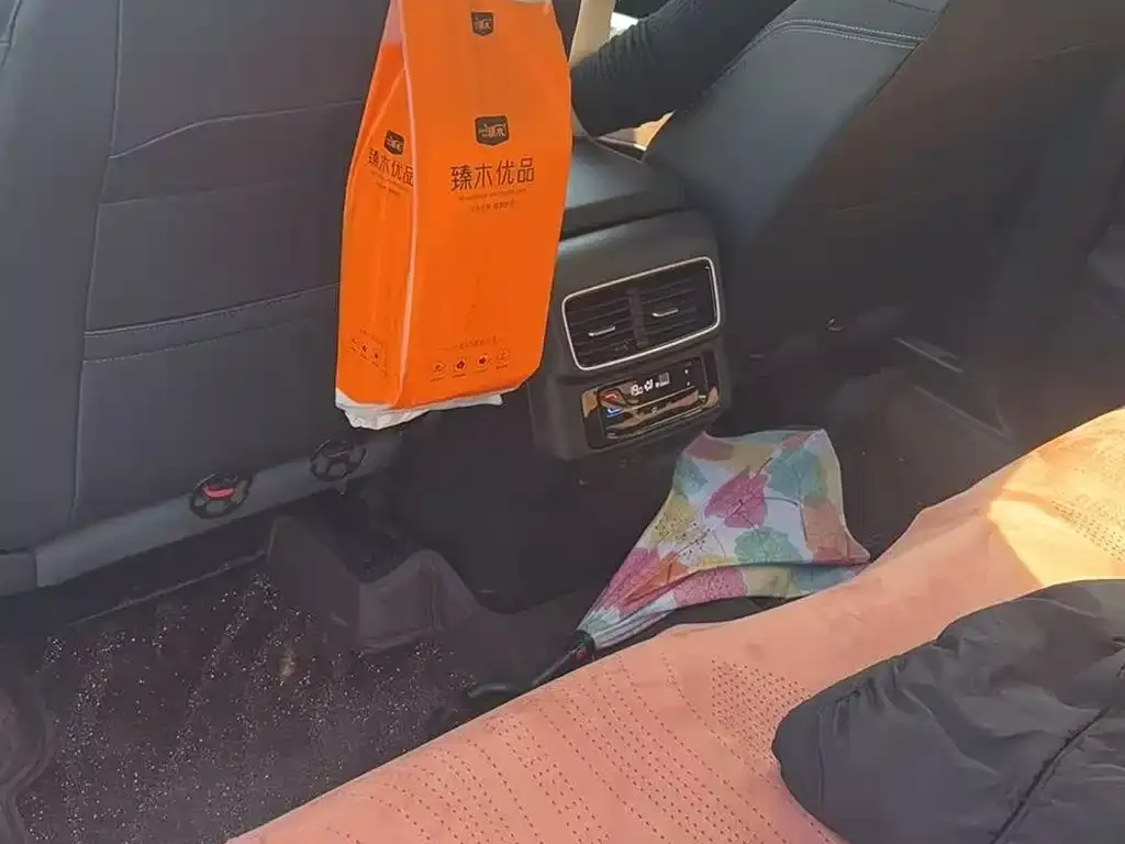 Volkswagen Tavendor 2023 из CN, фото 4