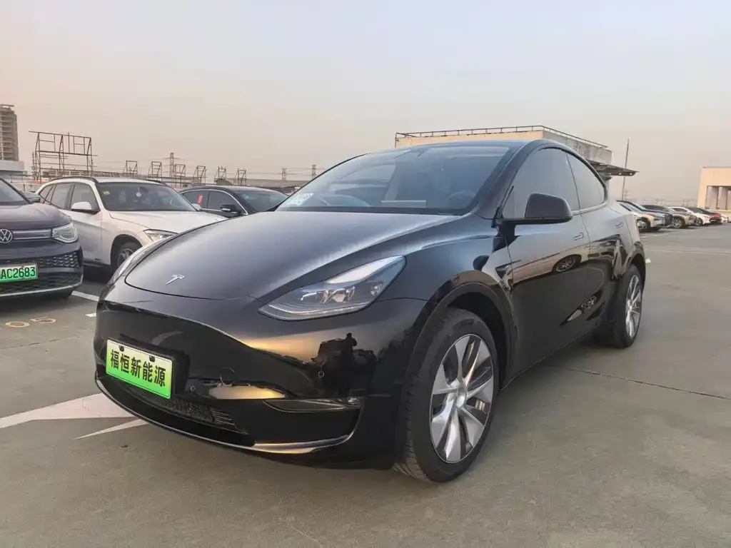Tesla Model Y 2023 из CN, фото 1