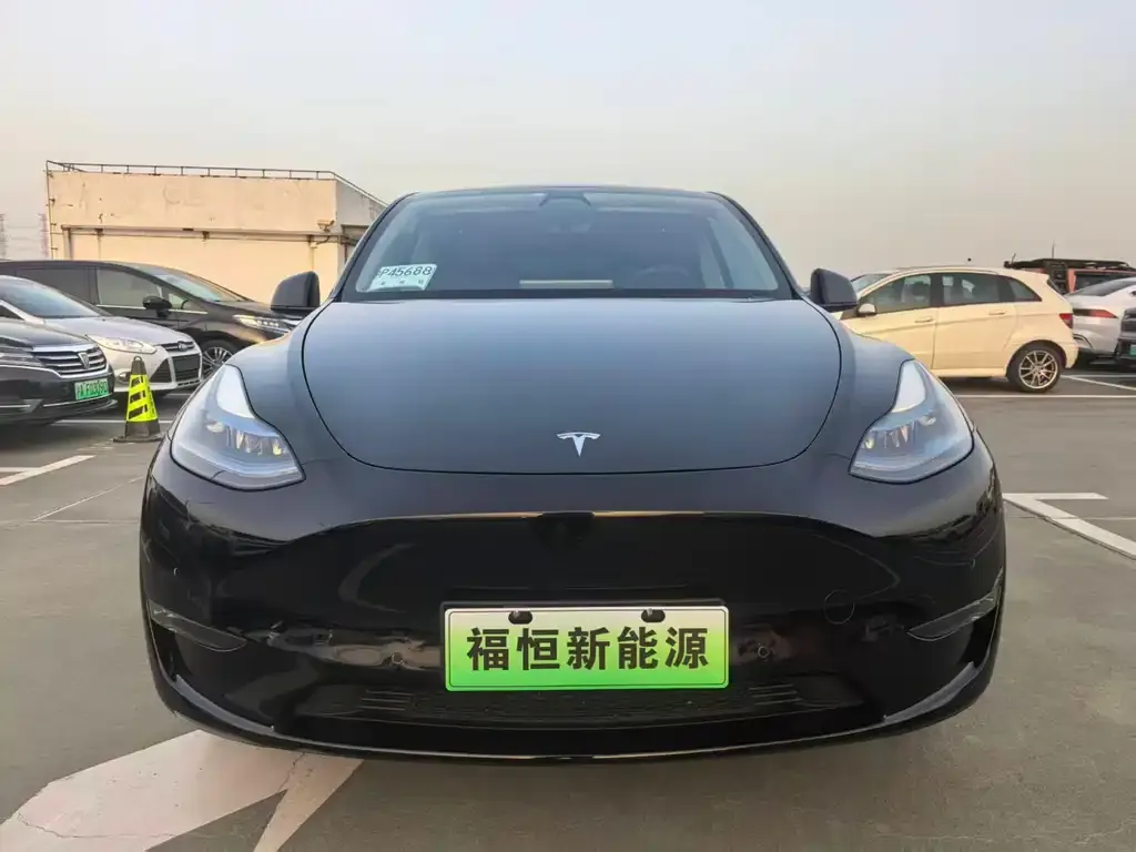 Tesla Model Y 2023 из CN, фото 2