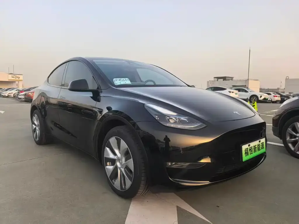 Tesla Model Y 2023 из CN, фото 3