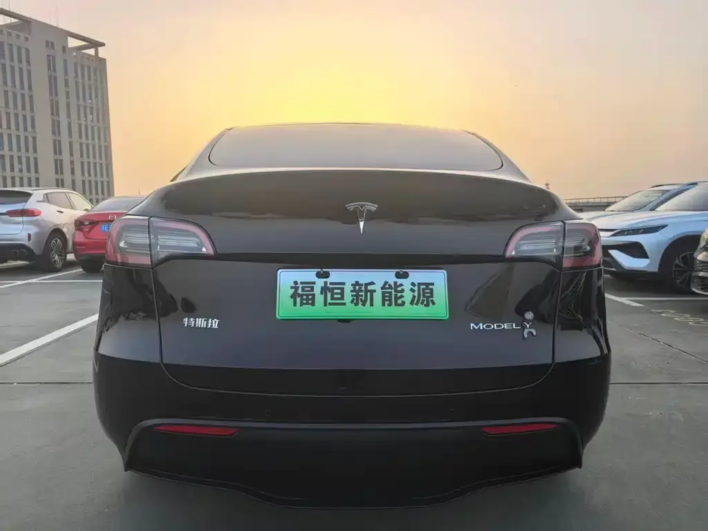 Tesla Model Y 2023 из CN, фото 5