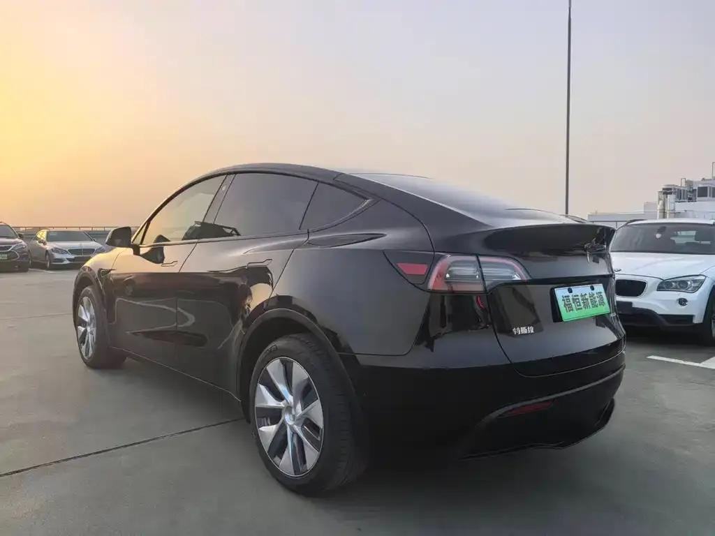 Tesla Model Y 2023 из CN, фото 6