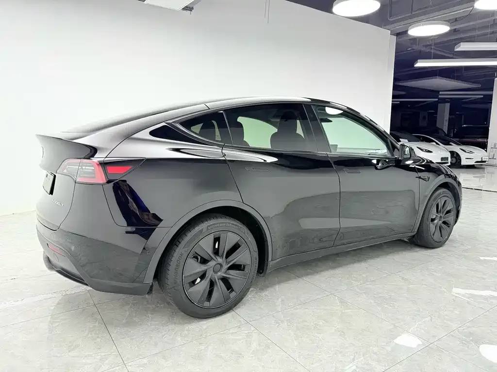 Tesla Model Y 2024 из CN, фото 6