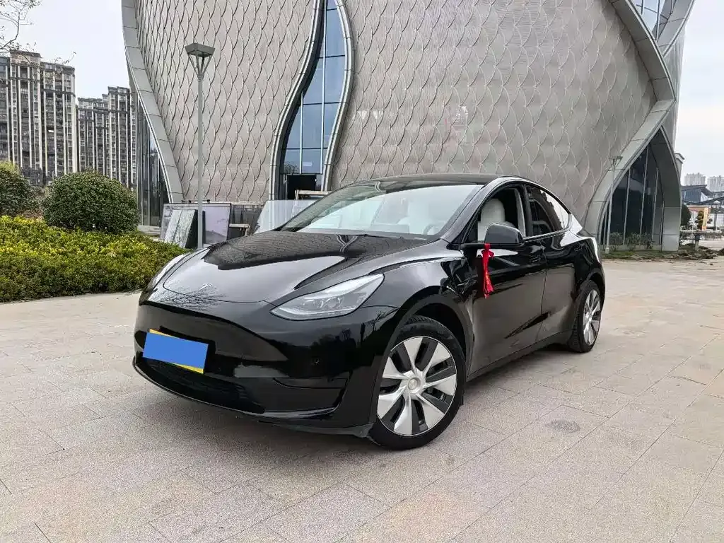Tesla Model Y 2022 из CN, фото 1