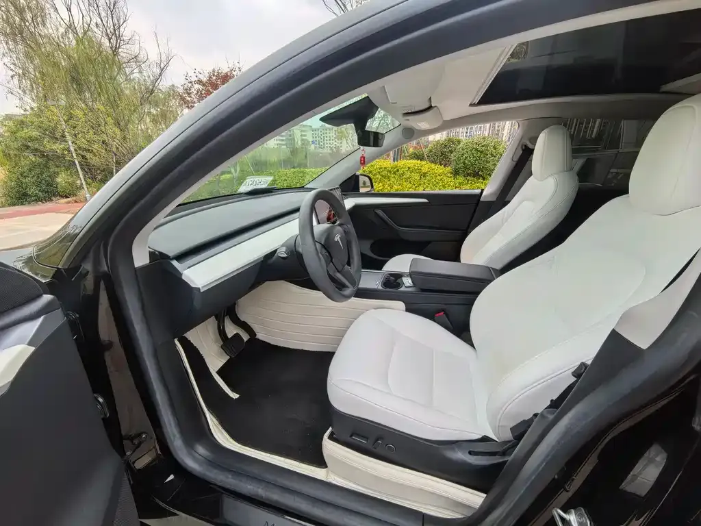 Tesla Model Y 2022 из CN, фото 5