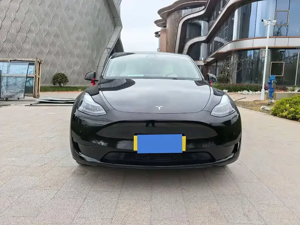 Tesla Model Y 2022 из CN, фото 7