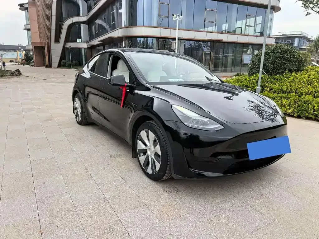 Tesla Model Y 2022 из CN, фото 8