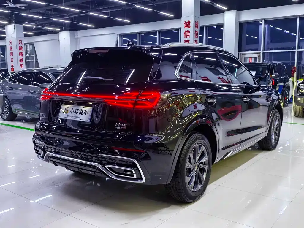 Hongqi HS5 2024 из CN, фото 4