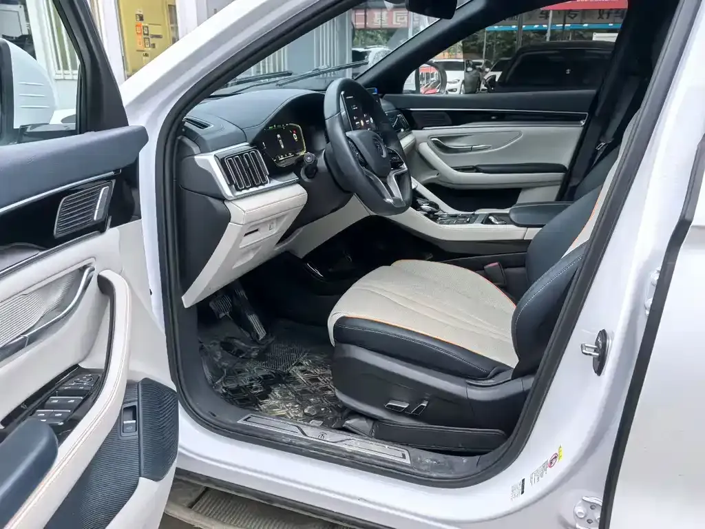 BYD PLUS New Energy — фото 4