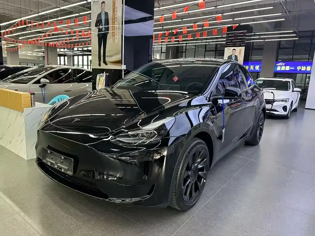 Tesla Model Y — фото 1