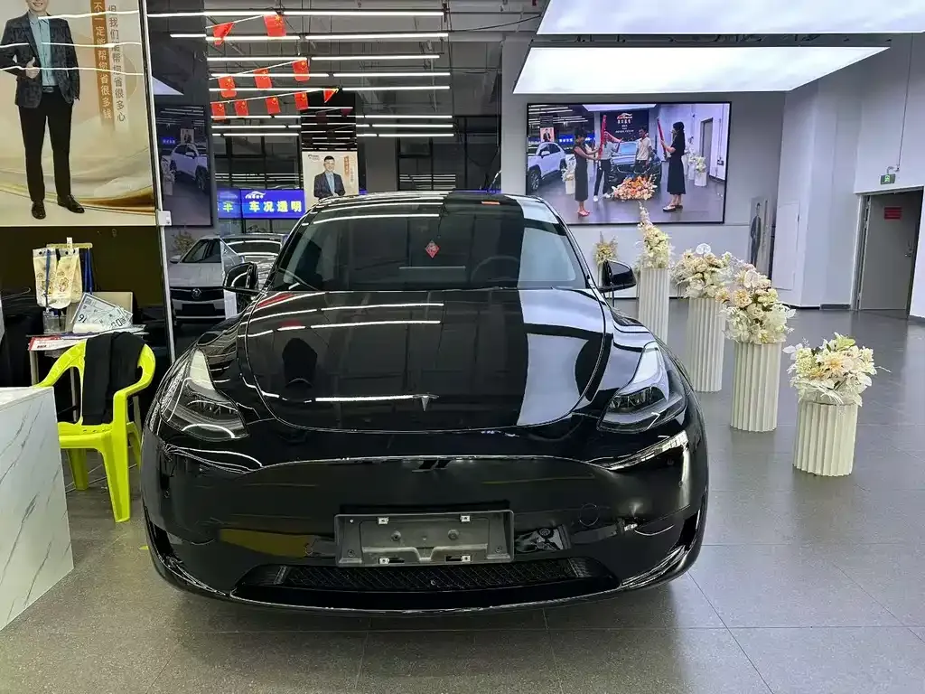 Tesla Model Y — фото 2