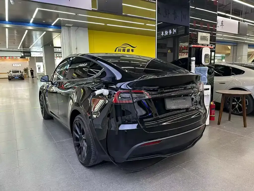 Tesla Model Y — фото 6