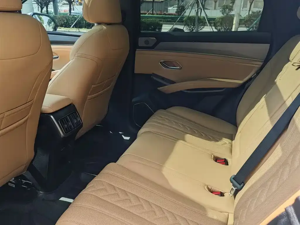 BYD L DM-i — фото 8