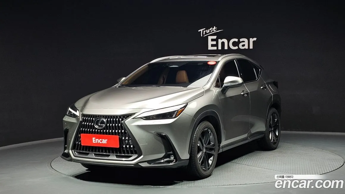 Lexus NX 2025 из KR, фото 1
