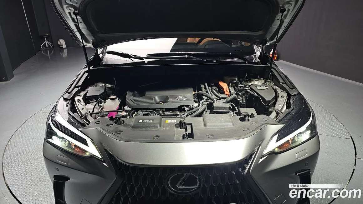 Lexus NX 2025 из KR, фото 6