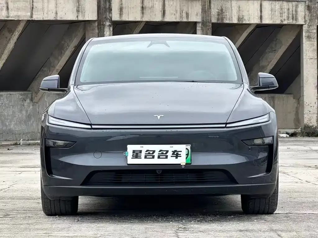 Tesla Model Y 2025 из CN, фото 2