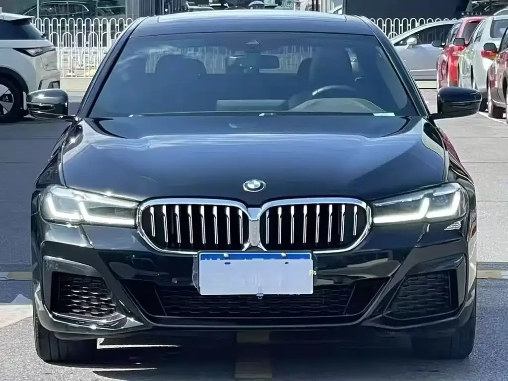 BMW 5 Series 2022 из CN, фото 2