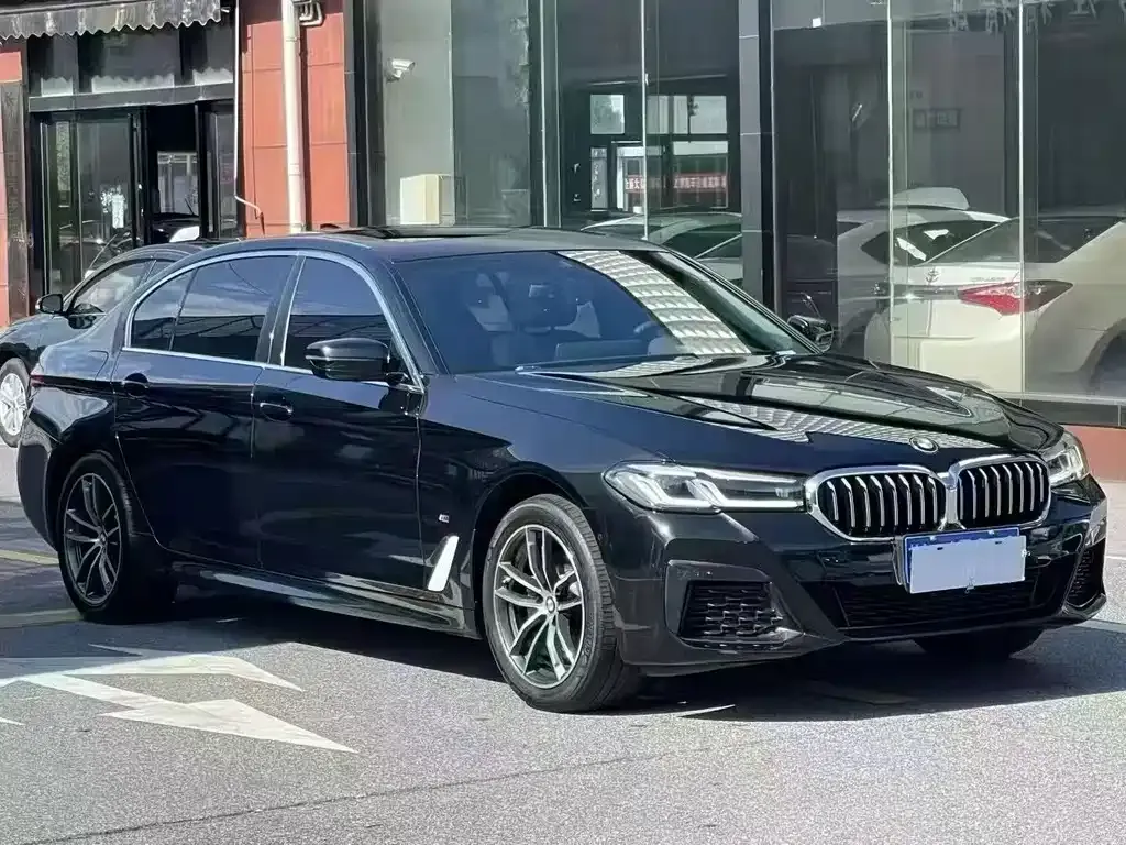 BMW 5 Series 2022 из CN, фото 3