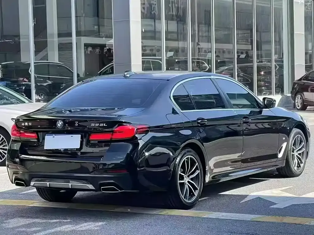BMW 5 Series 2022 из CN, фото 9