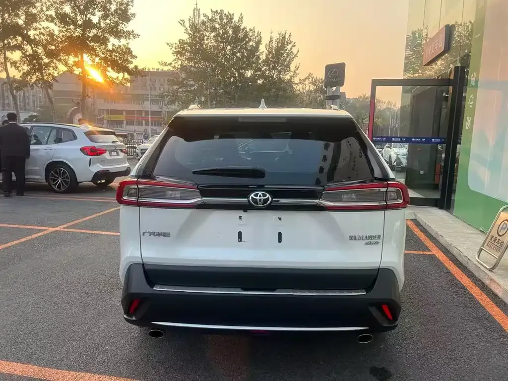 Toyota Wildlander 2022 из CN, фото 4