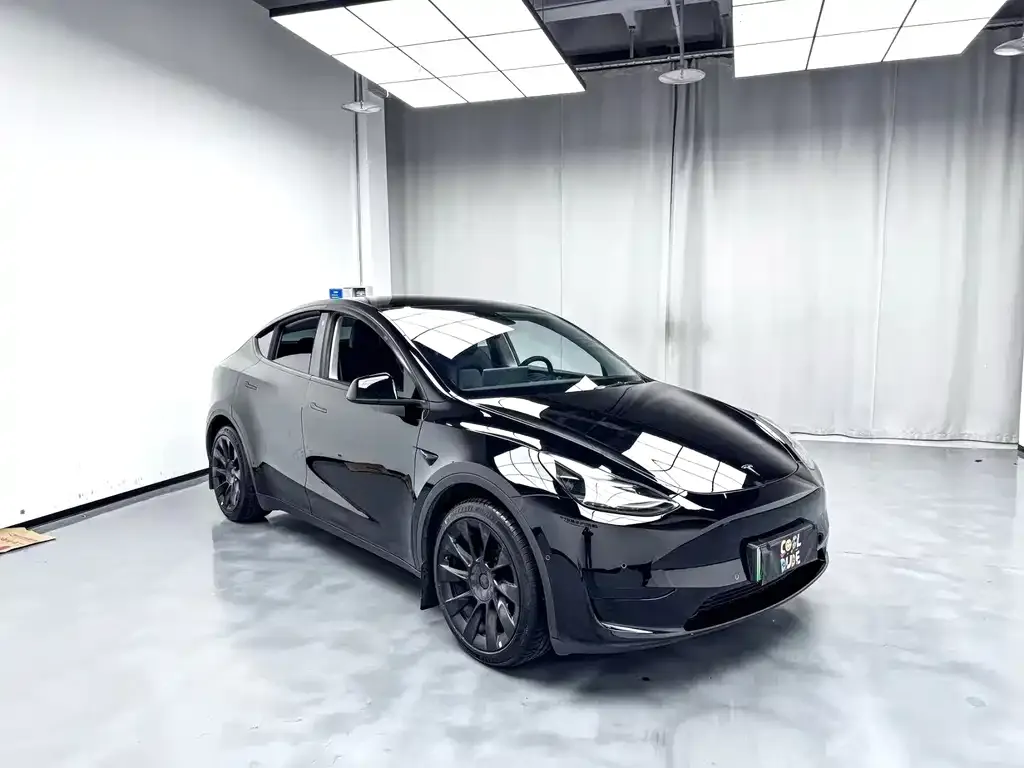 Tesla Model Y 2022 из CN, фото 2
