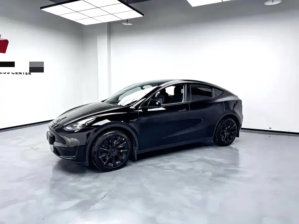 Tesla Model Y 2022 из CN, фото 3