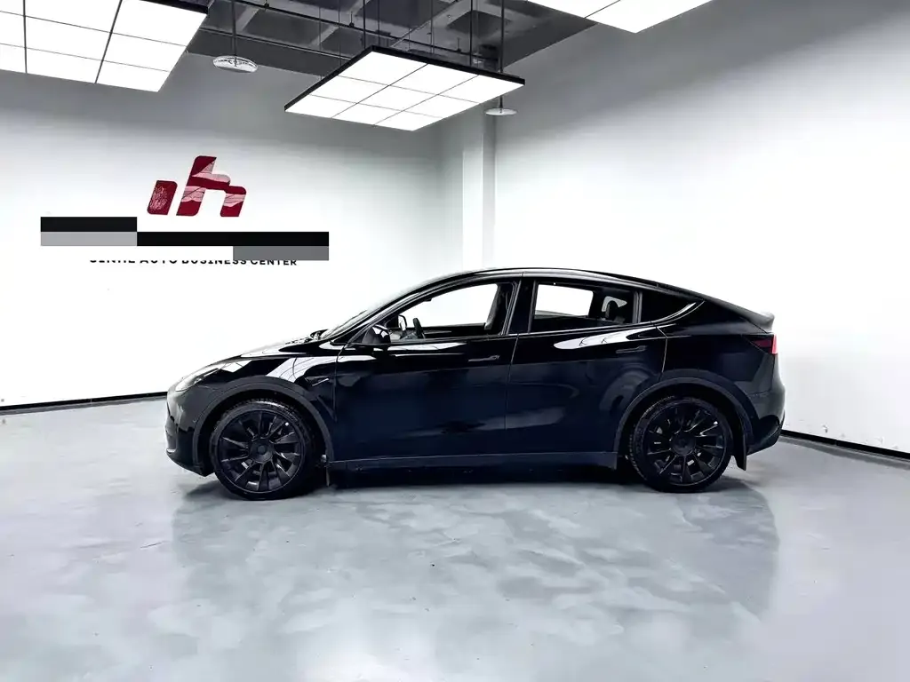 Tesla Model Y 2022 из CN, фото 4