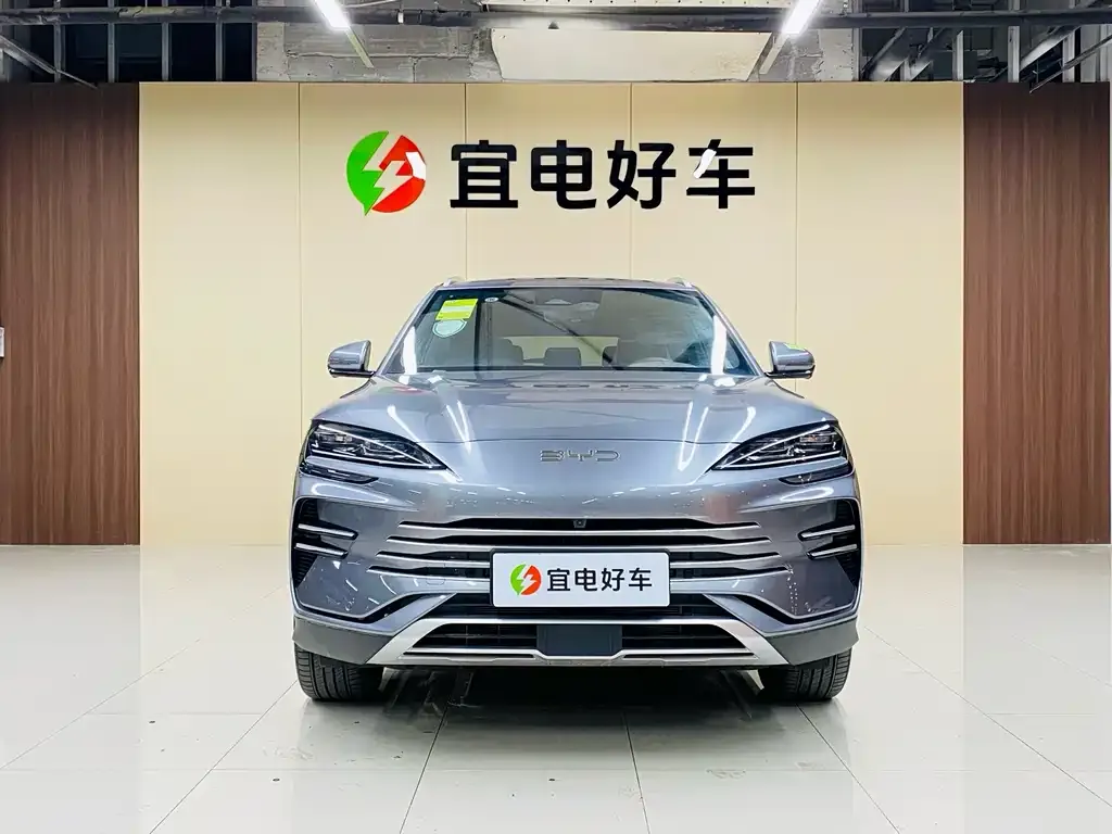 BYD PLUS New Energy — фото 2