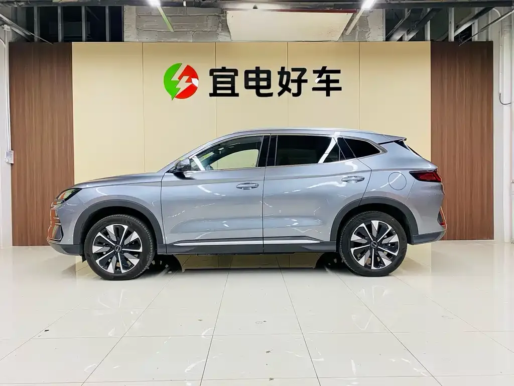 BYD PLUS New Energy — фото 4