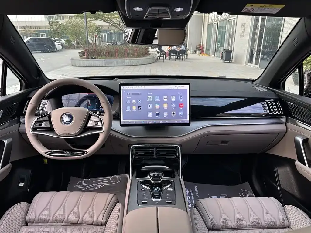 BYD Tang New Energy 2024 из CN, фото 10