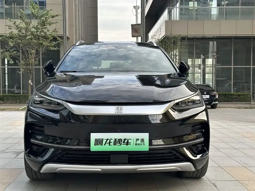 BYD Tang New Energy 2024 из CN, фото 3