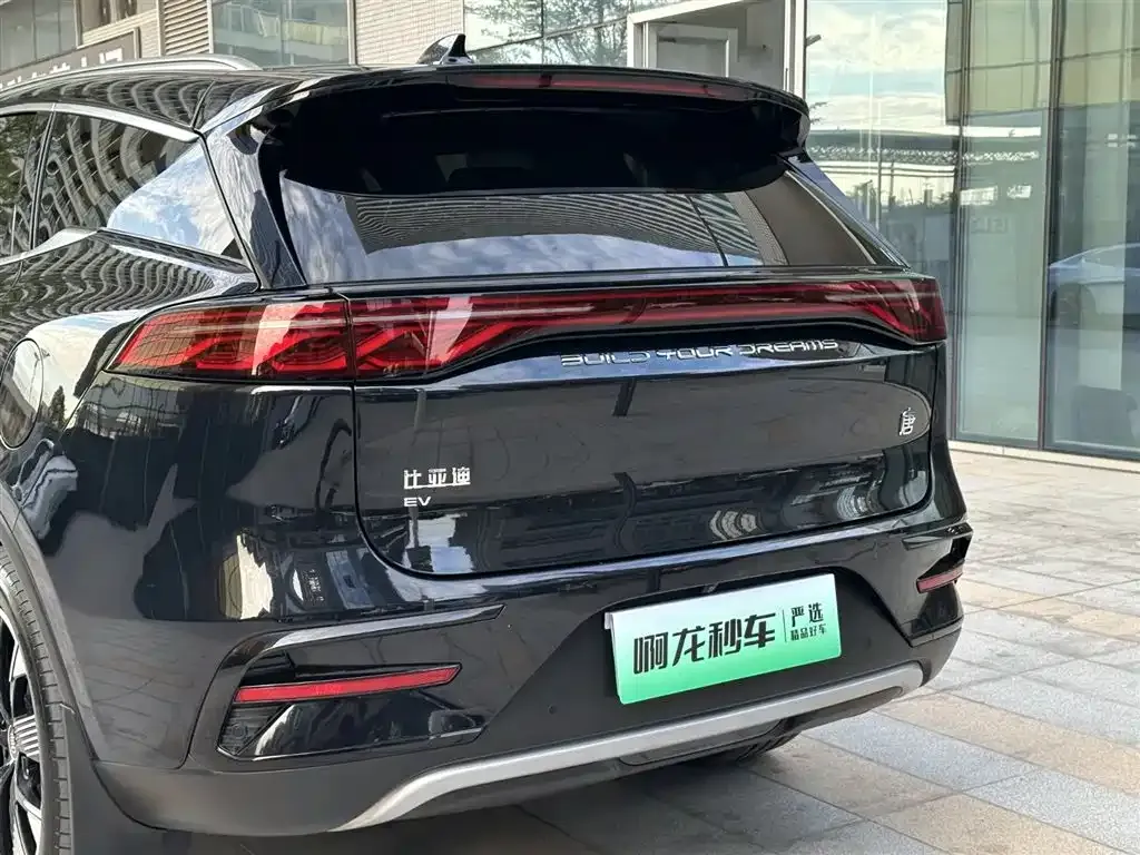 BYD Tang New Energy 2024 из CN, фото 5