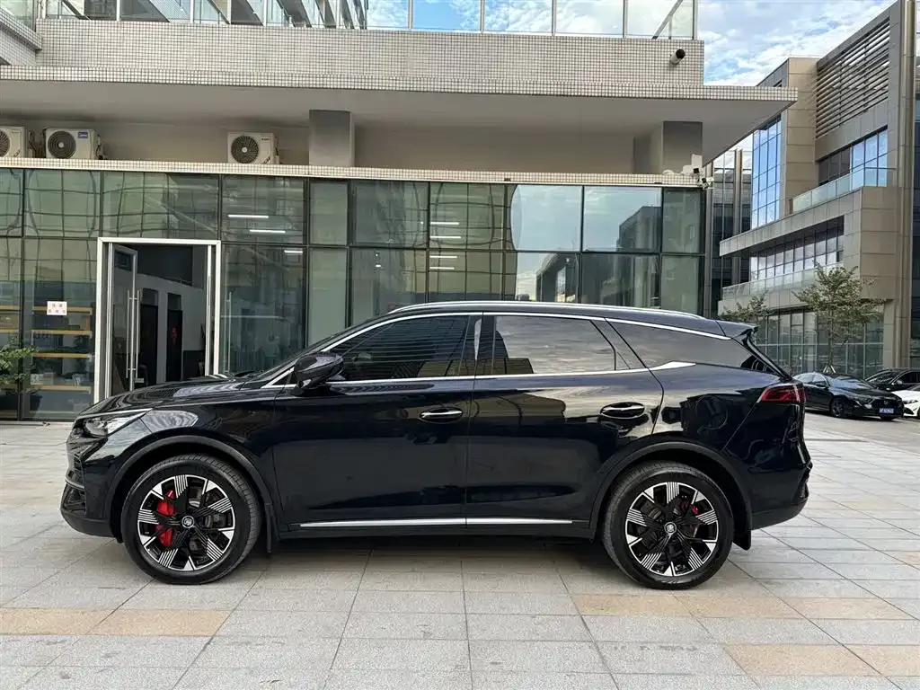 BYD Tang New Energy 2024 из CN, фото 6