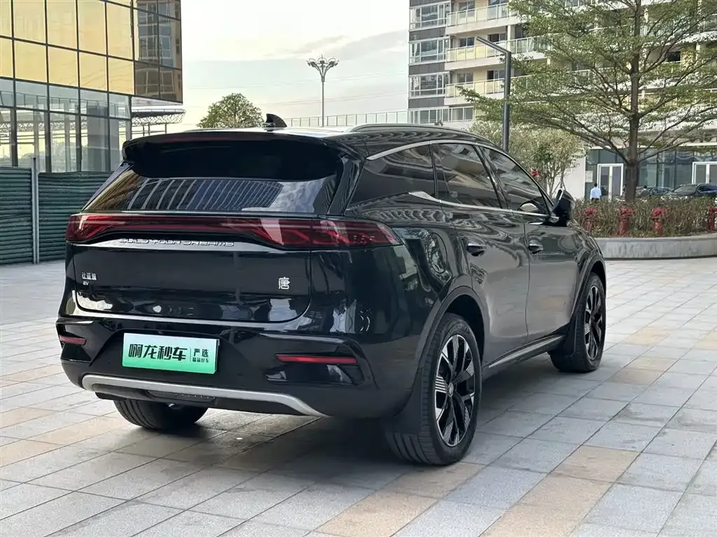 BYD Tang New Energy 2024 из CN, фото 7