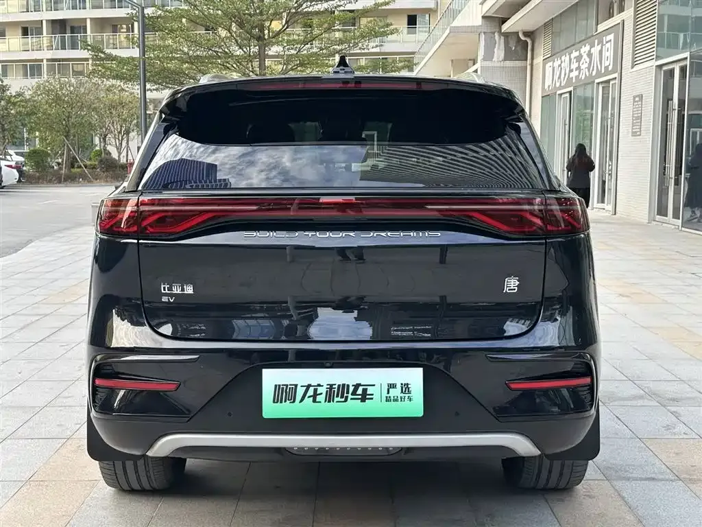BYD Tang New Energy 2024 из CN, фото 8