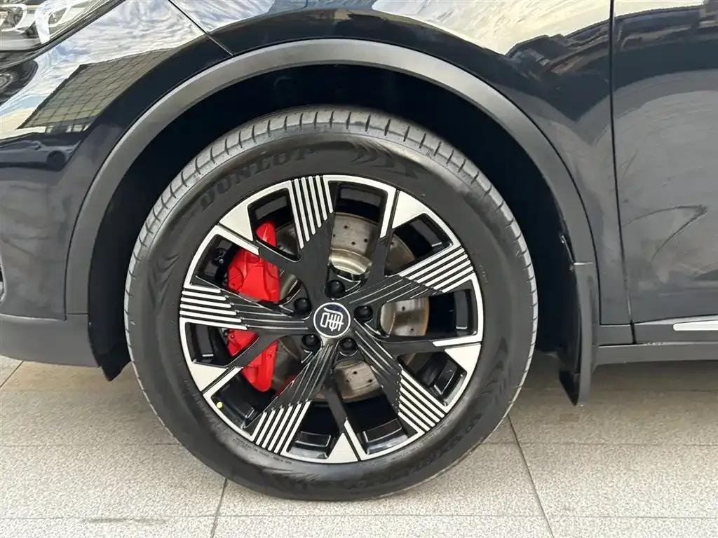 BYD Tang New Energy 2024 из CN, фото 9