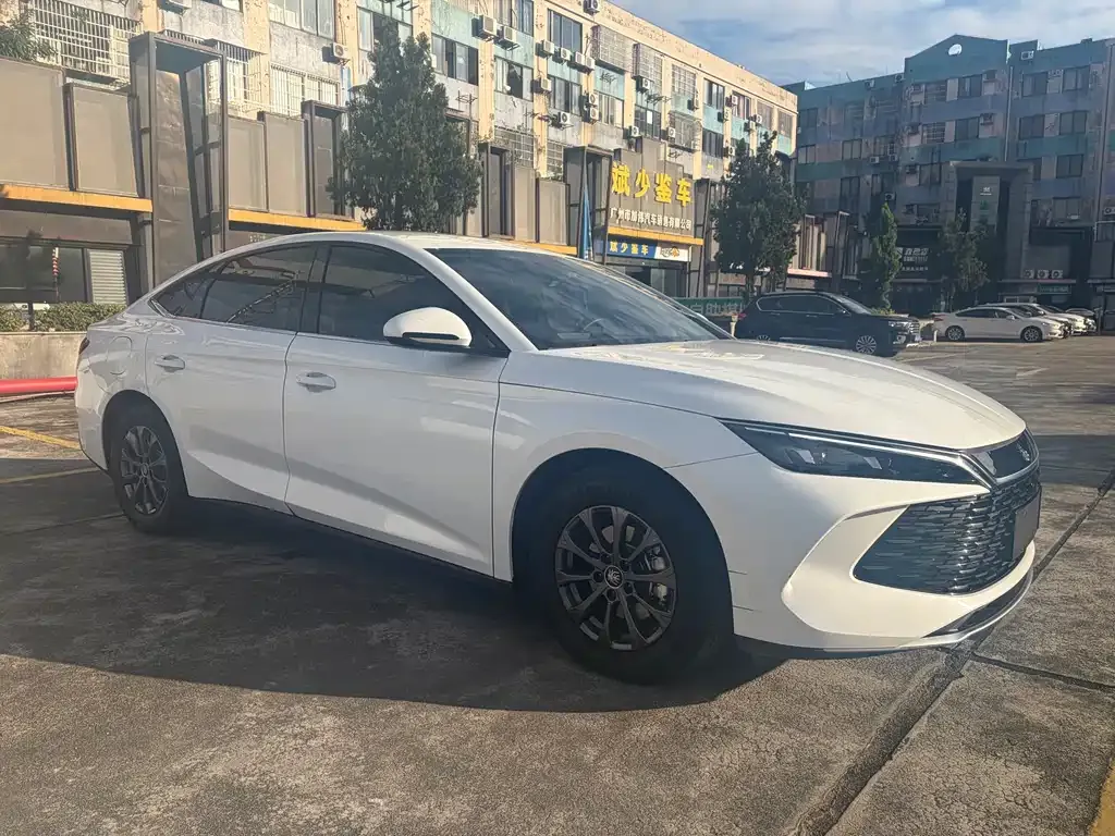 BYD Qin L 2024 из CN, фото 3