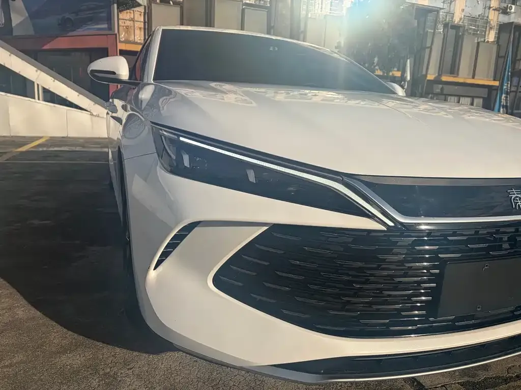 BYD Qin L 2024 из CN, фото 4