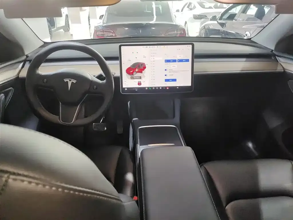 Tesla Model Y — фото 10