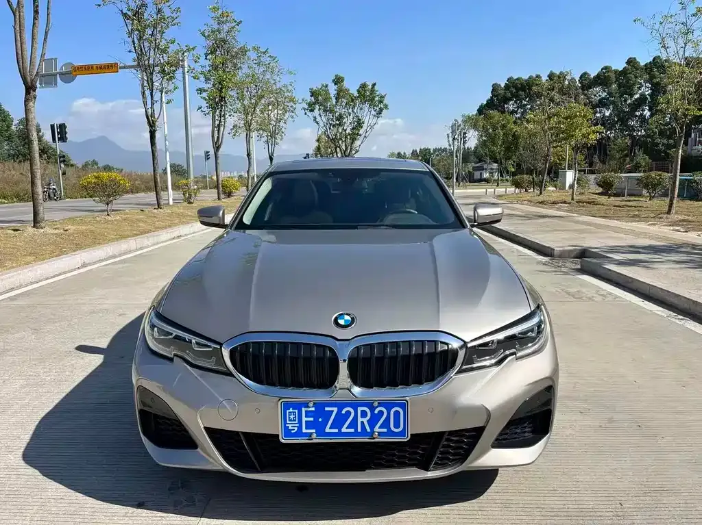 BMW 3 Series 2021 из CN, фото 2