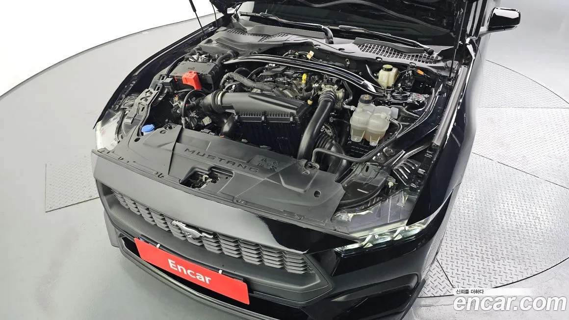 Ford Mustang 2024 из KR, фото 6