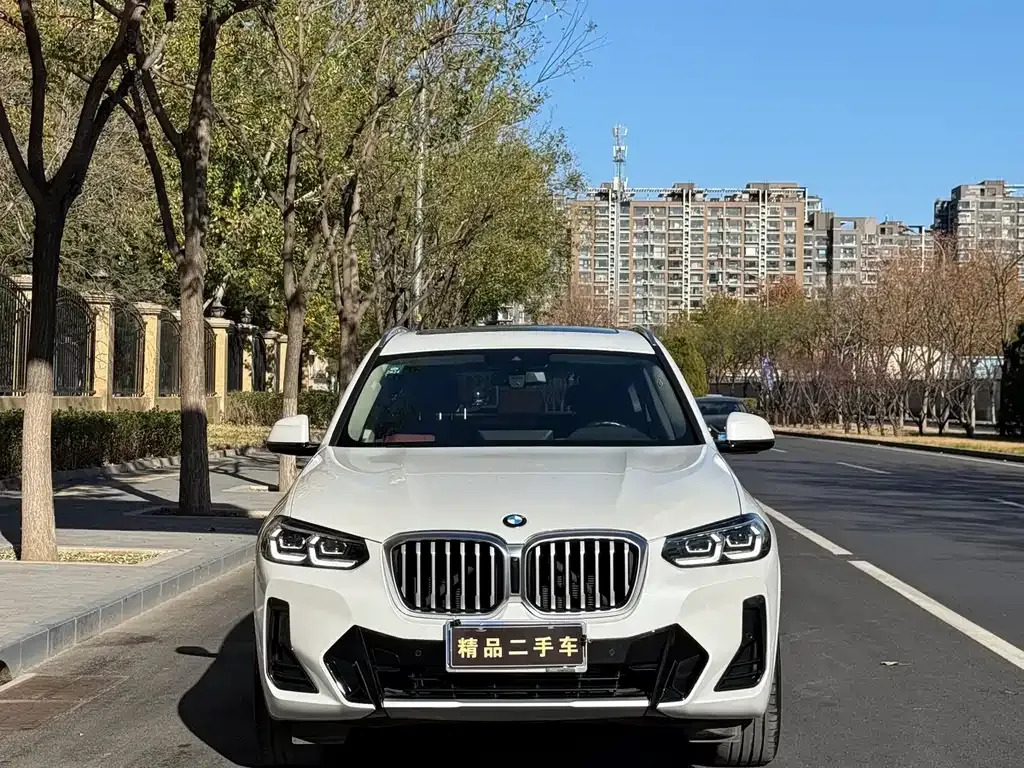 BMW X3 2022 из CN, фото 3
