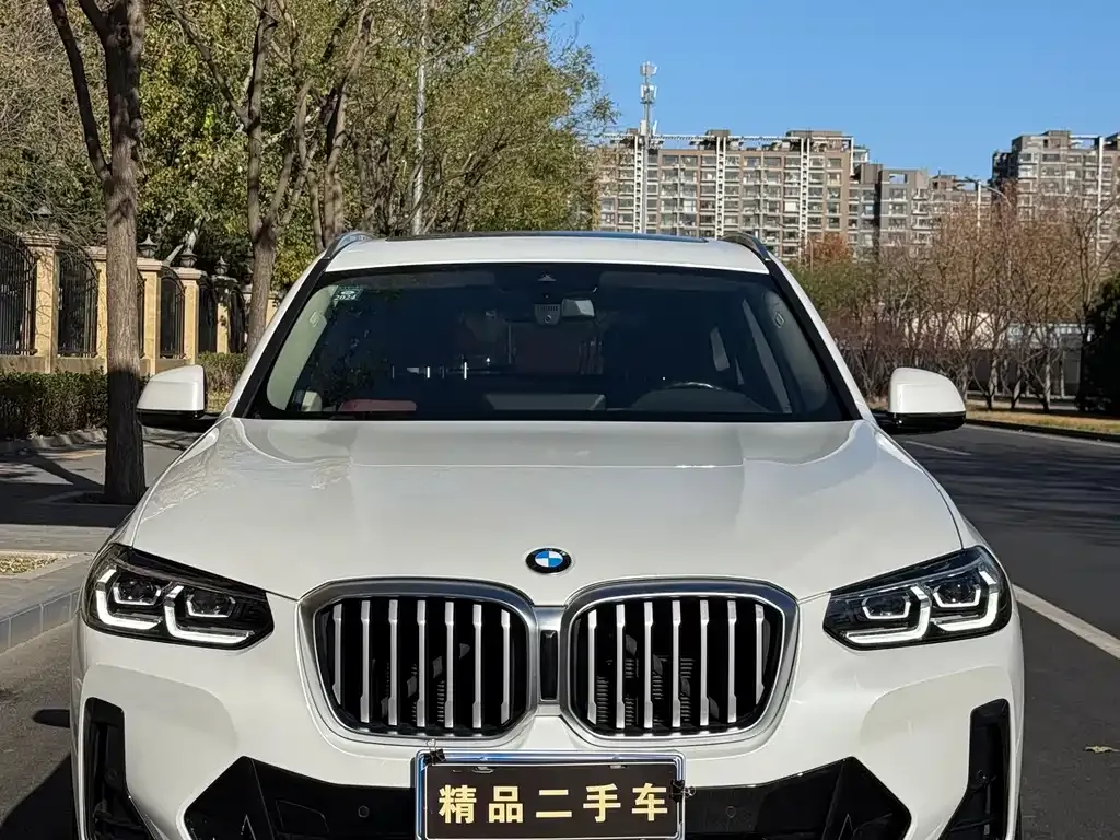BMW X3 2022 из CN, фото 4