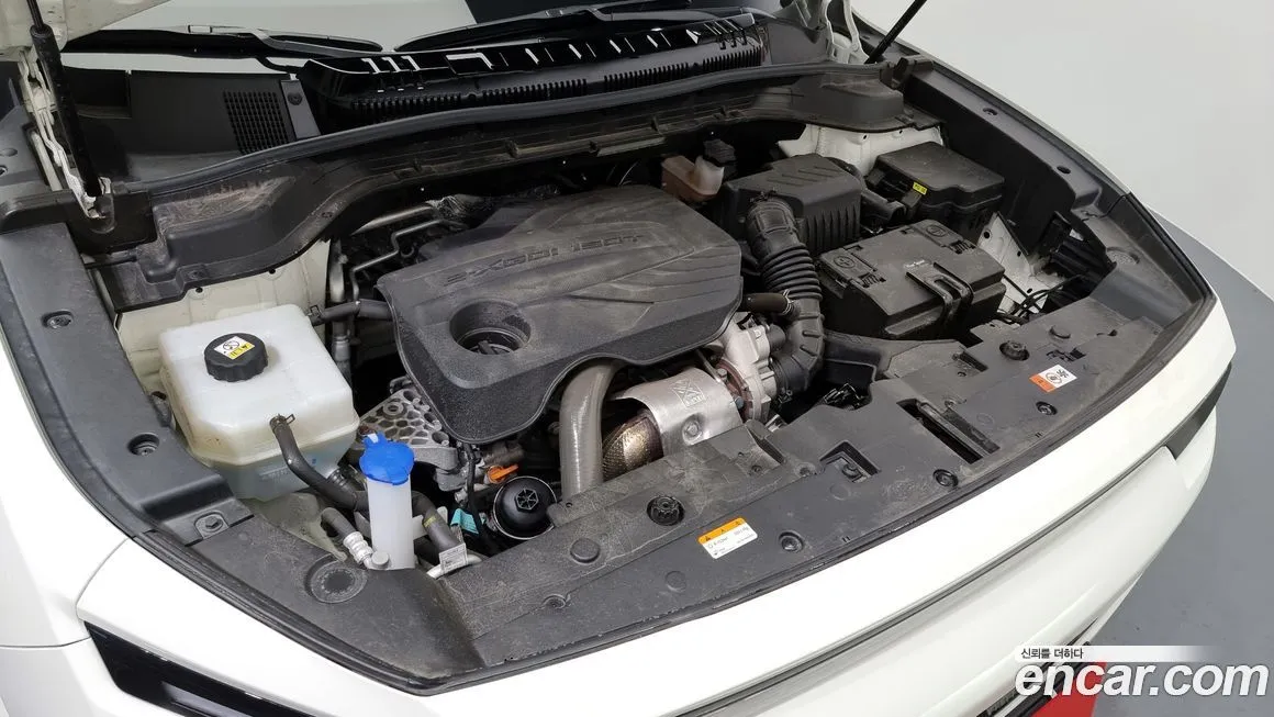 KG Mobility (Ssangyong) Actyon 2025 из KR, фото 6