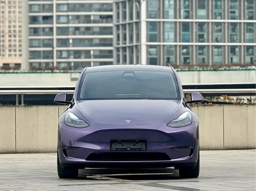 Tesla Model Y — фото 2
