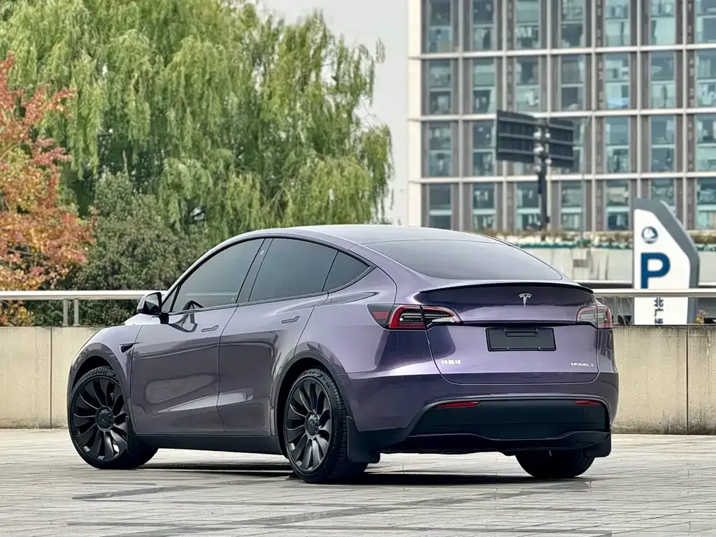 Tesla Model Y — фото 3