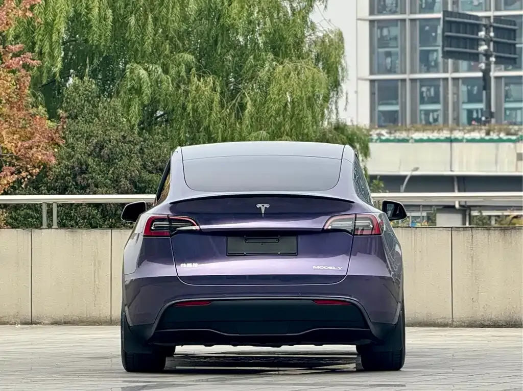 Tesla Model Y — фото 4